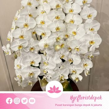 bunga meja hyeflorist (2)